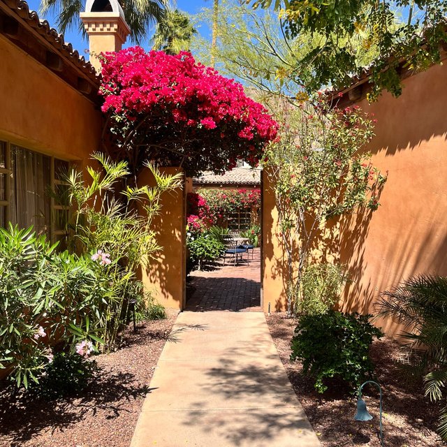 Instagram Image
