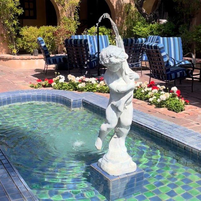 Instagram Image