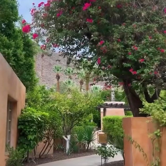 Instagram Image