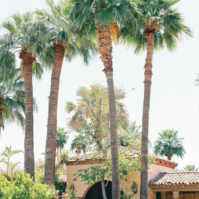 Instagram Image