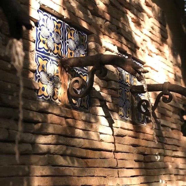Instagram Image