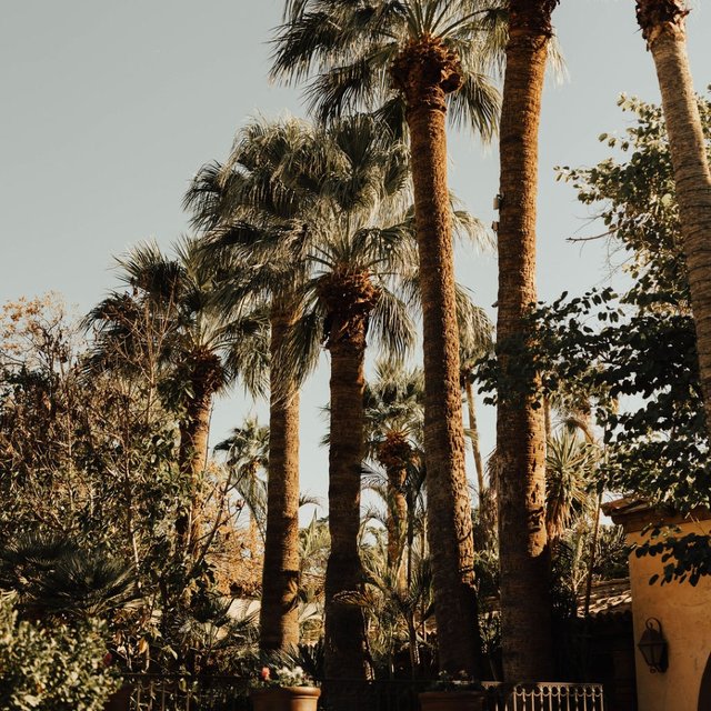 Instagram Image