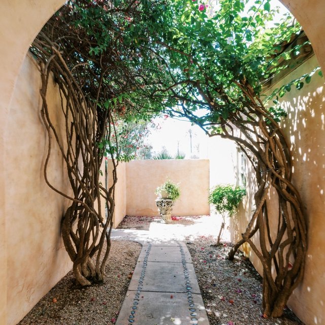Instagram Image