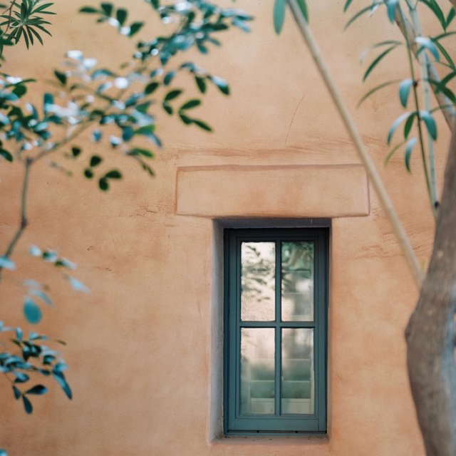 Instagram Image