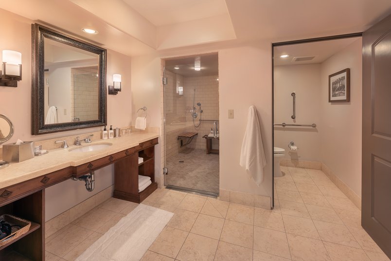 /media_files/images/Junior-Suite-ADA-Bathroom.2e16d0ba.fill-804x536-c100.jpg