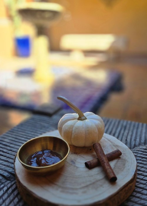 /media_files/images/Pumpkin_Radiance.2e16d0ba.fill-500x700-c100.jpg