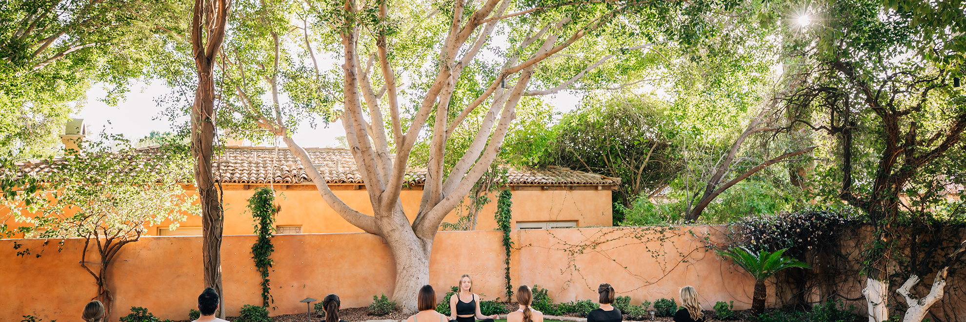 Group Yoga Class